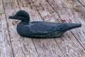 A wooden duck decoy for hunting duck stands on a table made of boards Royalty Free Stock Photo