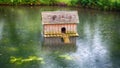 Duck house in the middle of pond in the rain Royalty Free Stock Photo