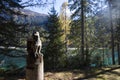 Wooden eagle sculpture at Lake Tovel, Trentino Alto Adige, Italy