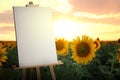 Wooden easel with blank canvas in field with sunflowers at sunset. Space for text