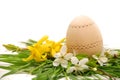 Wooden easter egg in a colorful spring nest Royalty Free Stock Photo