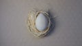 Wooden Easter egg in a nest of hay on a natural background Royalty Free Stock Photo