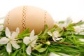 Wooden easter egg in a spring nest Royalty Free Stock Photo