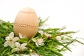 Wooden easter egg in a spring nest