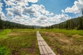 Wooden eco-trail to the far fabulous forest on a sunny summer day. We move forward on the trail and enjoy the freedom. Wooden deck