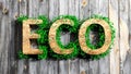 Wooden Eco word with vegetation