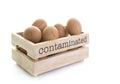 Wooden Egg Box full of Fipronil contaminated eggs Royalty Free Stock Photo