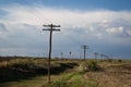 Wooden electricity poles on a field Royalty Free Stock Photo