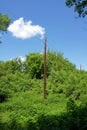 Wooden electricity pylon Royalty Free Stock Photo