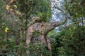 Wooden elephant with raven on made by Salvador DalÃÂ­ at Gala`s castle in PÃÂºbol, Gerona