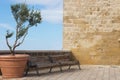 Wooden empty bench with olive tree in big pot against yellow sandstone building and blue sky. Sandstone house wall with patio. Royalty Free Stock Photo