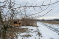 Wooden empty birds manger on tree during winter season