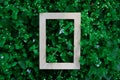 wooden empty frame on green leaves natyre background, free space Royalty Free Stock Photo