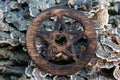 Wooden encircled pentagram symbol on fibrous tree bark. Five elements: Earth, Water, Air, Fire, Spirit.