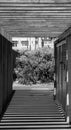 Wooden entrance with the bush in the background, vertical, grayscale