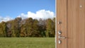 Wooden entrance door opening on amazing landscape, dreamy meadow with green grass and trees, travel concept idea