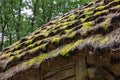 Wooden ethnic house with thatched roof. Halych Ethnography museum, Ukraine