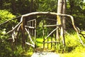 Wooden fairy gate in the forest. Opening secret wooden door Royalty Free Stock Photo