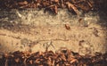 Wooden fall texture