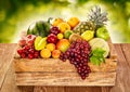 Wooden farm crate filled with fresh tropical fruit Royalty Free Stock Photo
