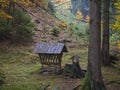 Wooden feeder or manger for wild animals in the forest. Feeding trough with hay for wild boars, deer and birds in the