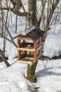 Wooden feeder in the winter forest on a tree. Royalty Free Stock Photo