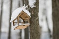 Wooden feeding Trough for birds hanging on tree in winter Royalty Free Stock Photo