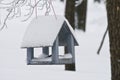 Wooden feeding Trough for birds hanging on tree in winter Royalty Free Stock Photo