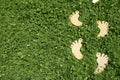 Wooden feet steps on a fresh spring green grass. Concept image with copy space