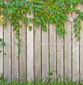 Wooden fence