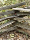 Wooden fence