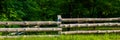 Wooden fence against the background of deciduous forest in the evening, rural landscape. Web banner Royalty Free Stock Photo