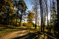 Wooden fence along the pathway in magical autumn forest in Sweden Royalty Free Stock Photo