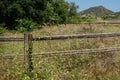 Wooden Fence Along a Trail