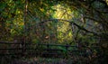 Wooden fence along the trail in the forest