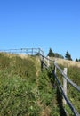 Wooden handrail along an unmaintained hiking path