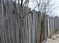 Fence, wood, forest, tree, nature, winter, sky, beach, landscape, wooden, birch, white, sand, old, blue, pattern, wall, grass, tre Royalty Free Stock Photo