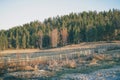 Wooden fence on a background of green coniferous forest. Romantic countryside landscape. Forest Trees Skyline Royalty Free Stock Photo