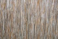 Wooden fence. Background texture of the reed fence Royalty Free Stock Photo