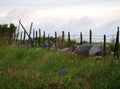 Wooden fence with barbed wire on a blooming meadow in Sweden Royalty Free Stock Photo