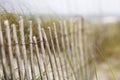 Wooden fence at beach.