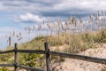 Wooden fence with beach grass and dunes in Summer Royalty Free Stock Photo