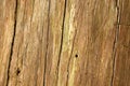 Wooden fence board background interior or exterior surface Royalty Free Stock Photo