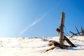 Wooden fence and broken barbed wire