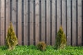 A wooden fence of brown upright boards, with a lawn of lush green grass and bushes