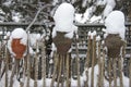 Wooden fence and ceramic jars covered with snow Royalty Free Stock Photo