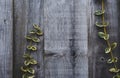 Wooden fence with climber yellow and green leaves in garden,Background Grey wood wall with copy space, Backdrop Structure of a Royalty Free Stock Photo