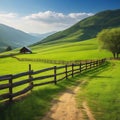 wooden fence corral for livestock