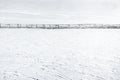 Wooden fence in the countryside covered in fresh snow in wintertime. Royalty Free Stock Photo