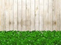 Wooden fence covered with plants with copy space Royalty Free Stock Photo